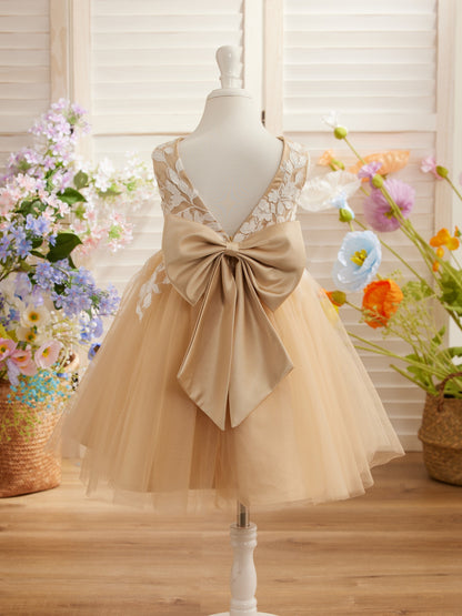 Sleeveless Lace Tulle Knee Length Flower Girl Dress