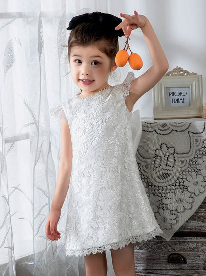 NumberSea - Kids Little Girls' Dress Floral Solid Colored Dress Birthday dress Lace Sleeveless Princess Cute Dresses