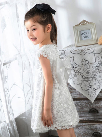 NumberSea - Kids Little Girls' Dress Floral Solid Colored Dress Birthday dress Lace Sleeveless Princess Cute Dresses