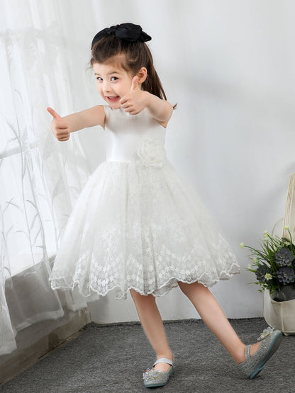 NumberSea - Kids Little Girls' Princess Cute Dresses Children's Occasion Wear Party Dresses Birthday Dress