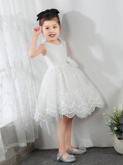 NumberSea - Kids Little Girls' Princess Cute Dresses Children's Occasion Wear Party Dresses Birthday Dress