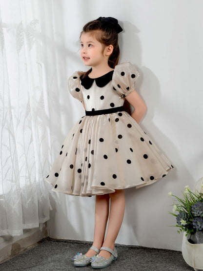 NumberSea - Kids Little Girls' Princess Cute Dresses Children's Occasion Wear Party Dresses Birthday Dress