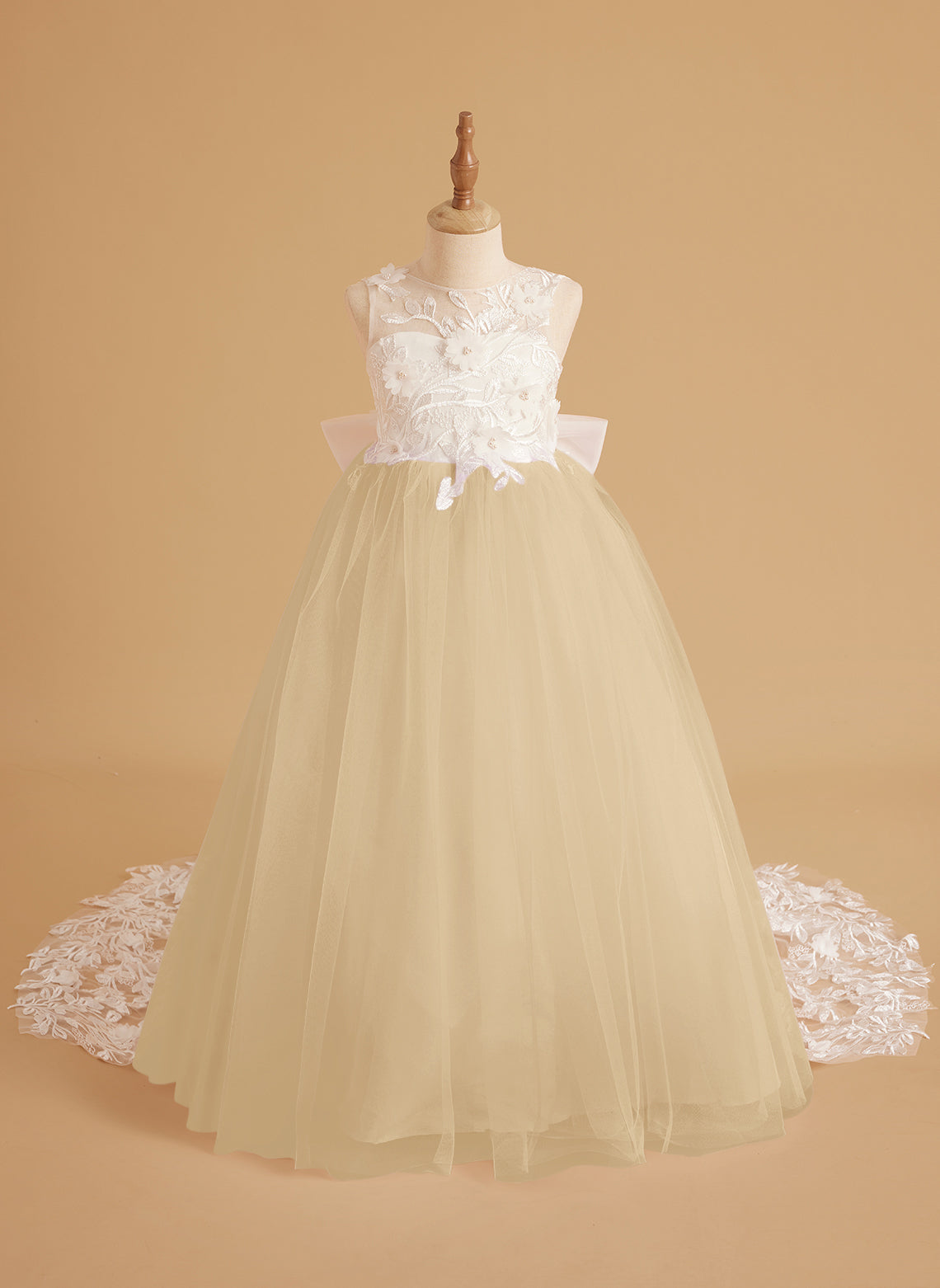 Dream Princess Sleeveless Lace and Tulle with Beading Flower Girl Dress