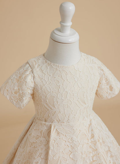 NumberSea - A - line Lace Sweep Train Ivory Dress (010146744)