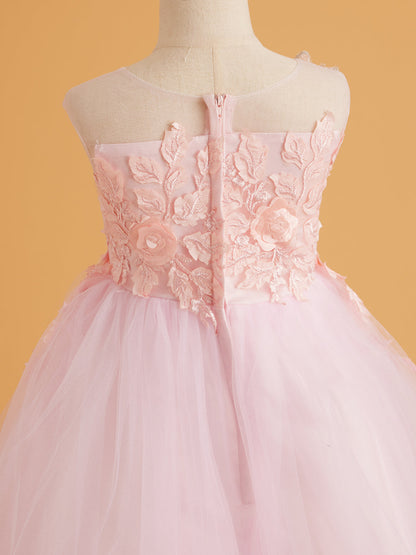 Lace Tulle Sweep Train Pink Dress (2003227825)